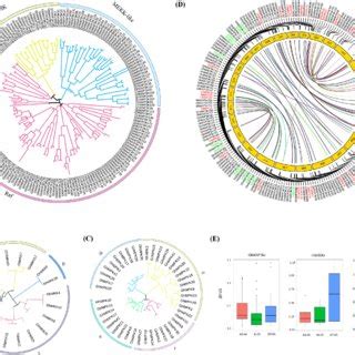 Protein interactions of MAPK cascade genes in G. hirsutum. a ...