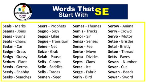 5 Letter Words That Start With SE Vocabulary Point