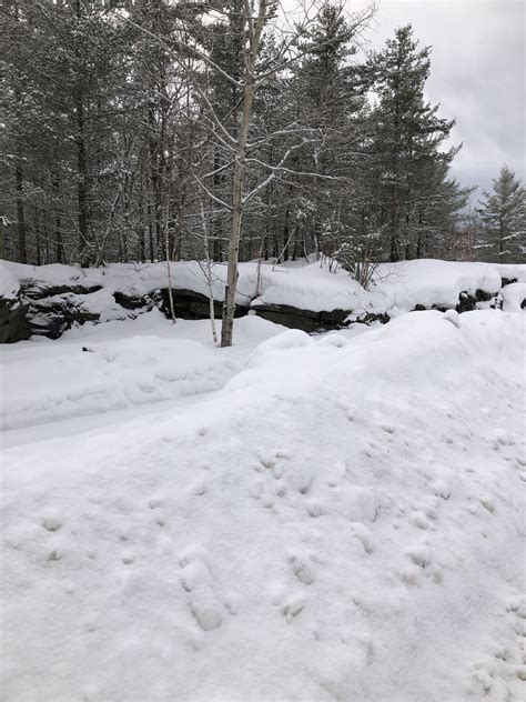 Five Winds Backcountry Ski & Snowshoe Club | Toronto ON