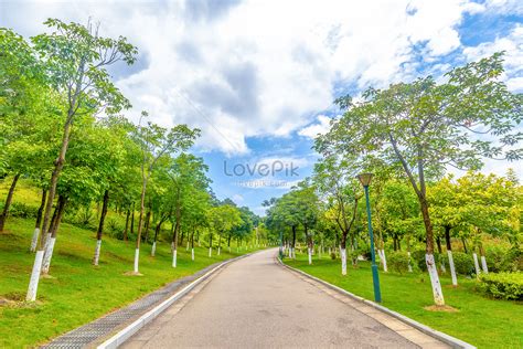 Garden Road Images, HD Pictures For Free Vectors Download - Lovepik.com