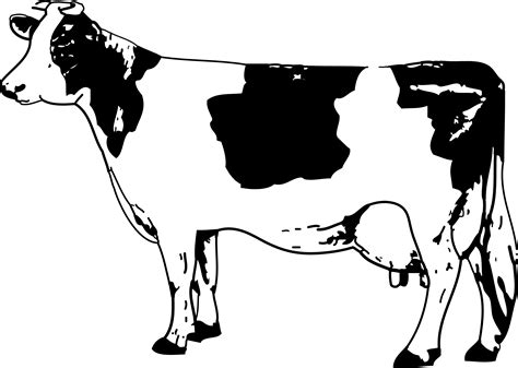 Free Cow Images Black And White, Download Free Cow Images Black And White png images, Free ...