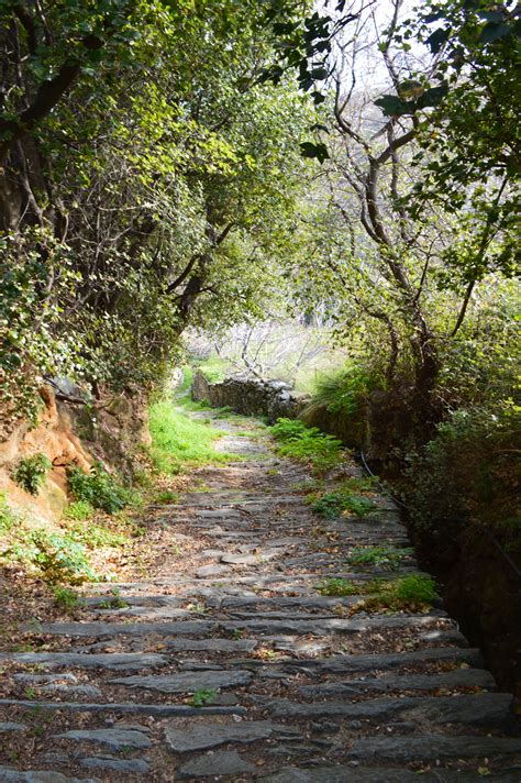 Άνδρου Μονοπάτια - Andros Routes