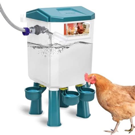 Revolutionize Your Chicken Coop With My Tried And Tested Water System