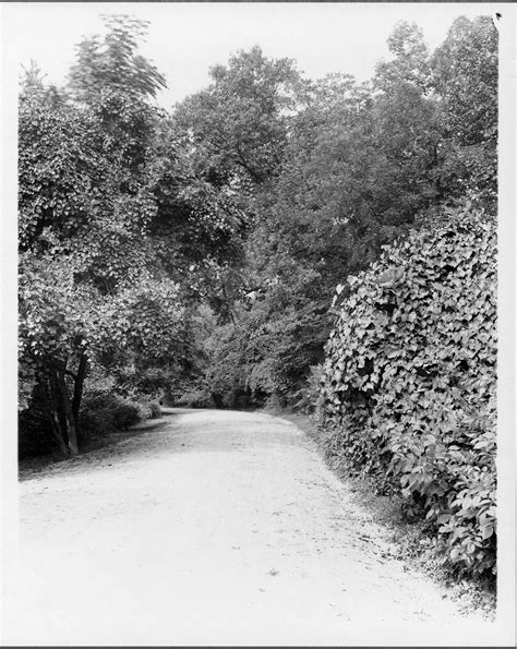 Future Home of the National Zoological Park | Smithsonian Institution