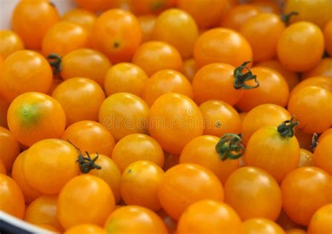 Los Muchos Tomates De Cerezo Amarillos Foto De Archivo Imagen De