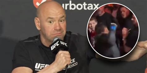 Dana White Reacts To Arman Tsarukyan Punching A Crowd Member Blaze Media