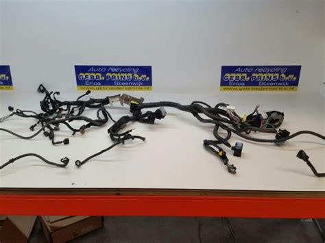 Wiring Harness Nissan Qashqai Dci Dpf Ea A