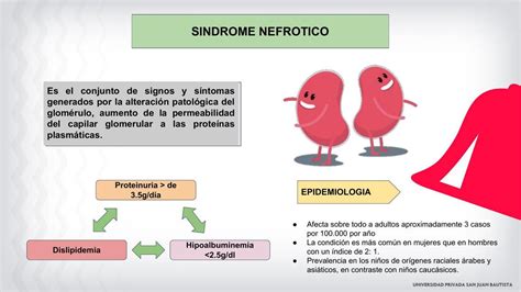 S Ndrome Nefr Tico Medstudents Udocz