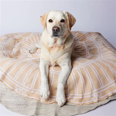 New eco friendly burial services are coming to Russo Chapels in Hillside IL 2