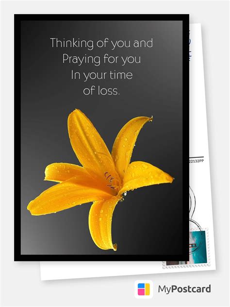 sympathy flower card messages 8