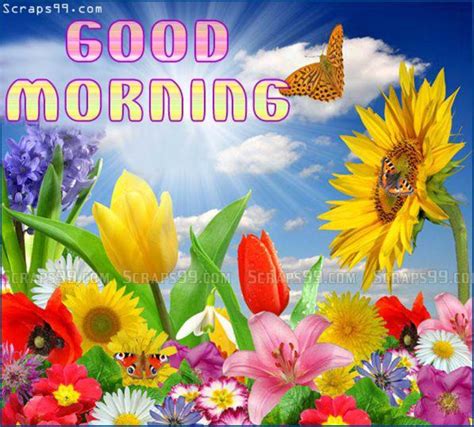 sweet good morning good morning wishes images