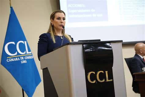 Presidenta De Essalud Fiorella Molinelli Expone Ante Comsalud De La