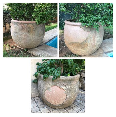 Lot 189 - Three outdoor ceramic pots with plants