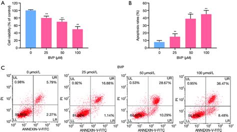 Inhibitory Effect Of Breviscapine Bvp On A Cell Growth A Mtt