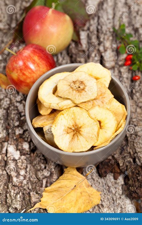 Healthy Organic Dried Apples Stock Image Image Of Fruit Harvest