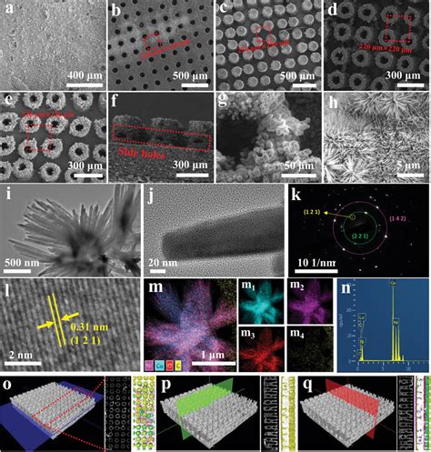 Scanning electron microscope (SEM) images of 1#N (a), 2#N (b), 3#N (c ...