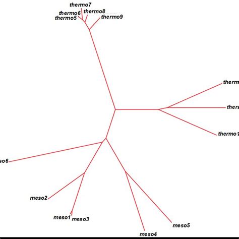 Phylogenetic Tree obtained by applying Clustal Omega Alignment Program... | Download Scientific ...