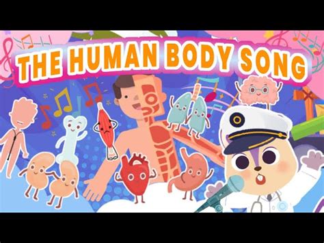 🫀 Human Body Song for kids | Easy way to learn about the Organs | Brain ...