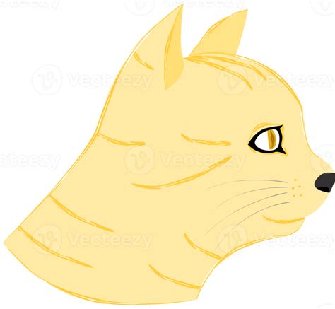 Side view of yellow cat's face. 15071823 PNG