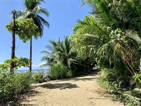 Visiting Uvita Beach of Costa Rica | Whales Tail Playa Uvita | TripTins