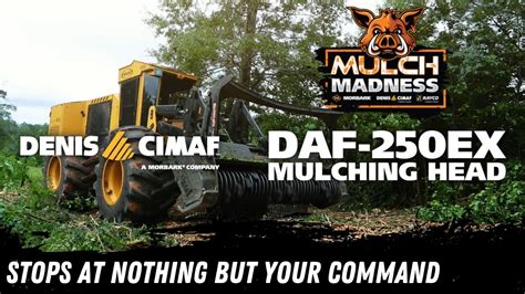 Denis Cimaf Daf Ex Mulching Head Youtube