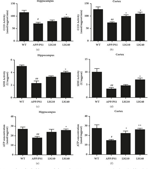 Figure From Ligustilide Ameliorates Memory Deficiency In App Ps