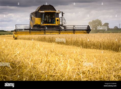 Combine Harvester at work Stock Photo - Alamy 