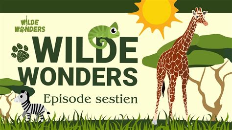 Wilde Wonders Episode Sestien Die Netvormige Kameelperd Youtube