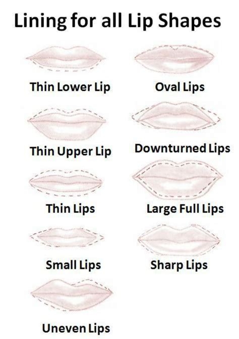 9 best Lip Shapes images on Pinterest | Lip shapes, Beauty makeup and Confirmation