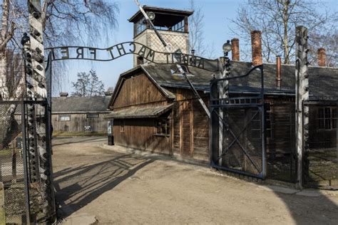 Auschwitz And Wieliczka Salt Mine Full Day Trip From Krakow Kkday