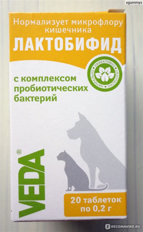 Пробиотик Веда Лактобифид - «Лактобифид при приеме антибиотиков для ...