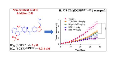 Discovery Of Potent And Wild Type Sparing Fourth Generation EGFR