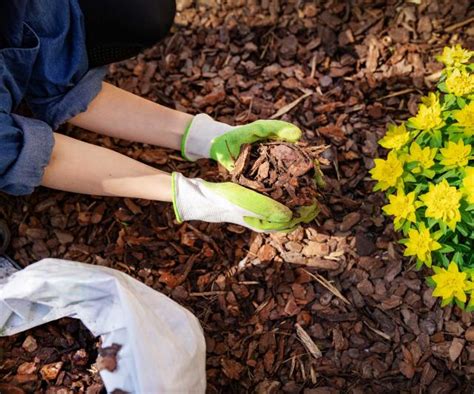 How To Kill Weeds Without Harming Your Plants Keep Flowers And Shrubs