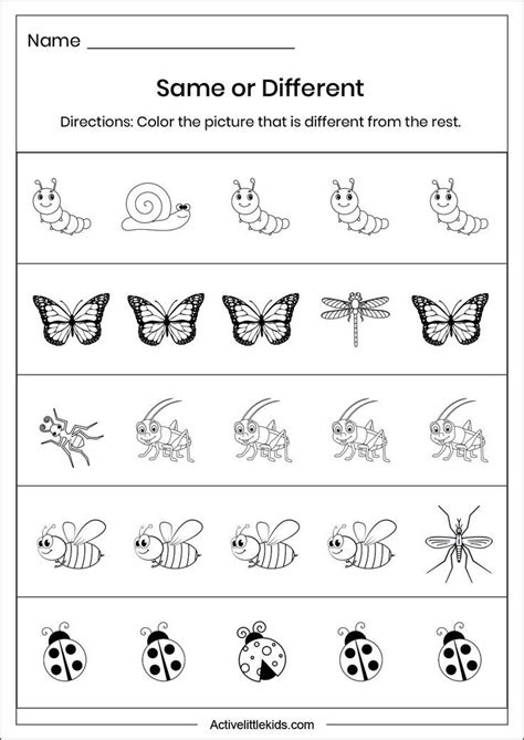 Insect Same And Different Worksheet Preschool Worksheets Free