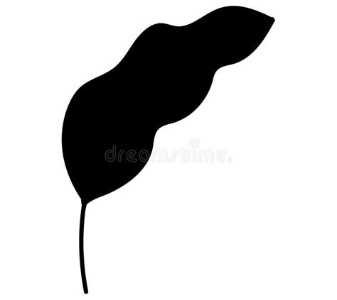 Black Silhouette of a Tropical Leaf. Exotic Jungle Leaf, Autumn Leaves ...