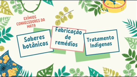 Ervas E Plantas Da Medicinais Na Cultura Ind Gena Youtube