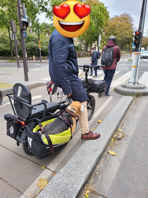 Stein van Oosteren on Twitter Le chien faisait même de petits woufs