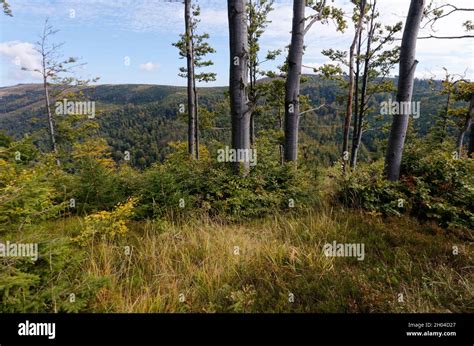 Approach To Malinowska Skala Peak In Szczyrk Poland Stock Photo Alamy