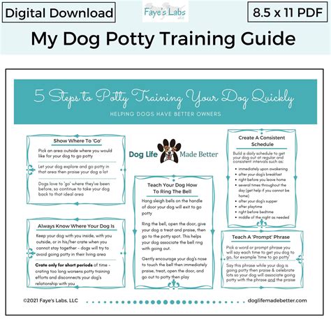 Potty Training Puppy Apartment Tips at Ellen Franklin blog