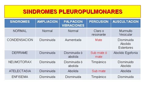 Síndromes Pleuropulmonares Aprende su exploración física a