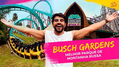 BUSCH GARDENS Tampa Guia completo dicas e preços do parque mais