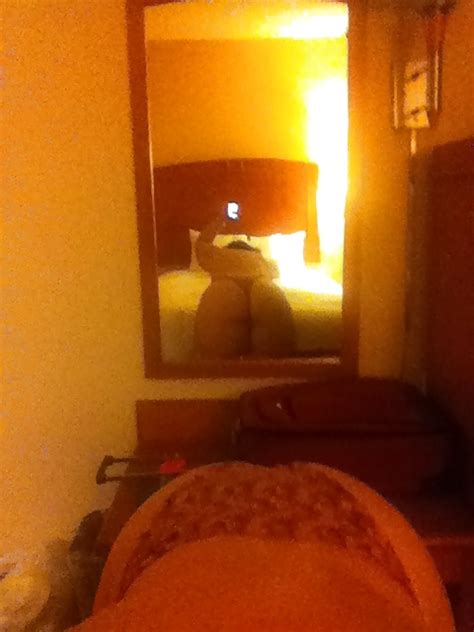 Madison Wisconsin Ass And Pussy And Tits Porn Pictures XXX Photos