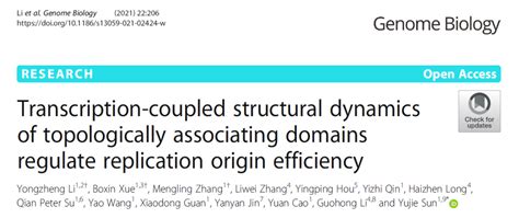 Genome Biology丨孙育杰组超分辨成像技术揭示dna复制起始位点选择新机制 药选址