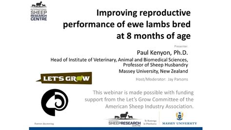 Improving Reproduction In Sheep 19 Youtube