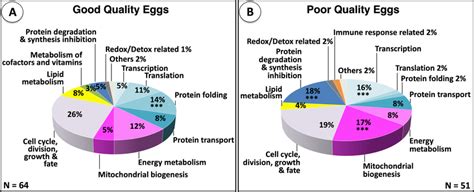 Distribution Of Differentially Abundant Proteins Among Functional Download Scientific Diagram