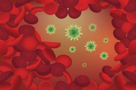 2개의 Bacteria in intestine and bloodstream vector 로열티 프리 이미지 및 스톡 사진