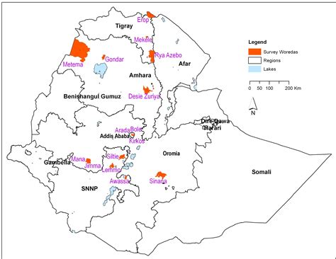 Crossing African Borders Profiling Ethiopian Migration A Comparison