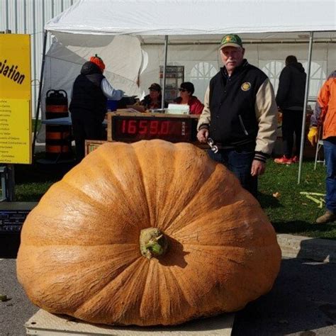 Electric Saws and Giant Pumpkins — Food Garden Life: Edible Garden ...