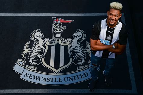 Joelinton Newcastle United - 1024x682 Wallpaper - teahub.io