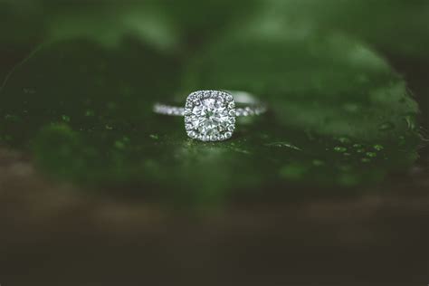 Guelph Arboretum Engagement - Ten·2·Ten Photography